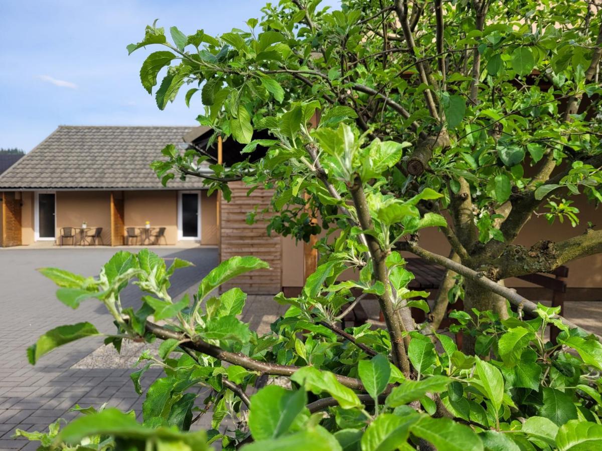 Apartmany Dolosin Velké Losiny Buitenkant foto